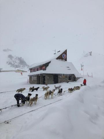 Pied Des Pistes, Lumineux 4P, Parking Couvert La Mongie Exteriör bild